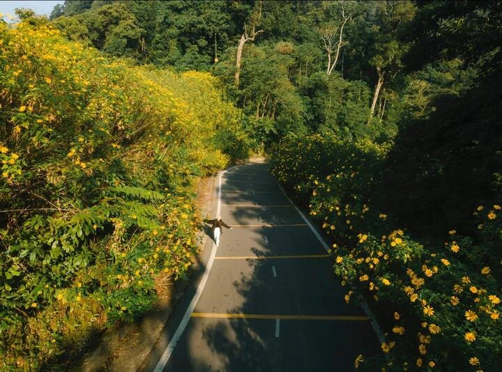 Giá tour đã bao gồm nhiếp ảnh gia đi theo đoàn, xe ô tô du lịch máy lạnh đưa đón, 1 bữa ăn trưa menu tại nhà hàng, vé vào cổng tham quan, hướng dẫn viên, nước uống trên xe. (Ảnh: Blog Của Rọt)