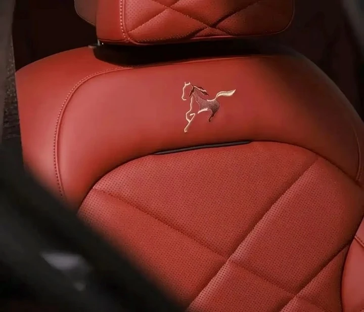 Đáng chú ý, logo hình ngựa được thêu trên tựa ghế, lấy cảm hứng từ hình tượng ngựa thần trong các bích họa Đôn Hoàng. (Ảnh: BMW China)
