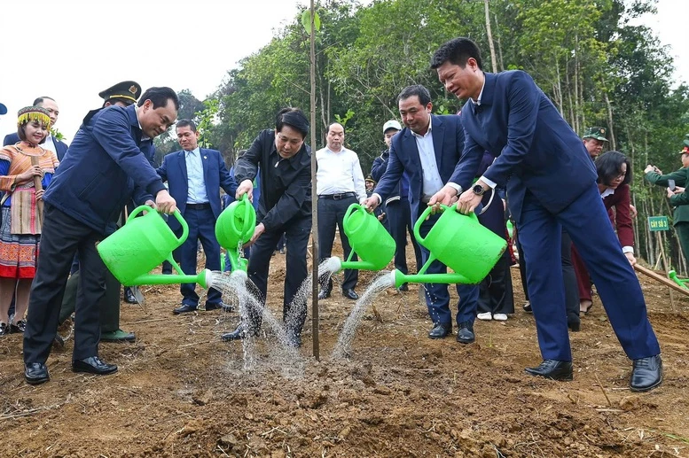 Chủ tịch nước dự lễ phát động Tết trồng cây năm 2026- Ảnh 2.