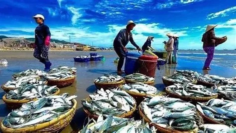 Cơ hội bứt phá xuất khẩu thủy sản 2026- Ảnh 1. Cơ hội bứt phá xuất khẩu thủy sản 2026- Ảnh 1.