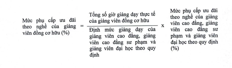 Đề xuất mức phụ cấp ưu đãi đối với giảng viên đồng cơ hữu- Ảnh 2. Đề xuất mức phụ cấp ưu đãi đối với giảng viên đồng cơ hữu- Ảnh 2.