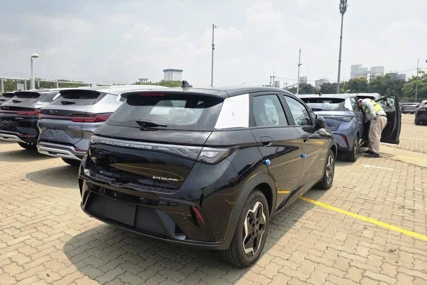 BYD, Dolphin anh 1