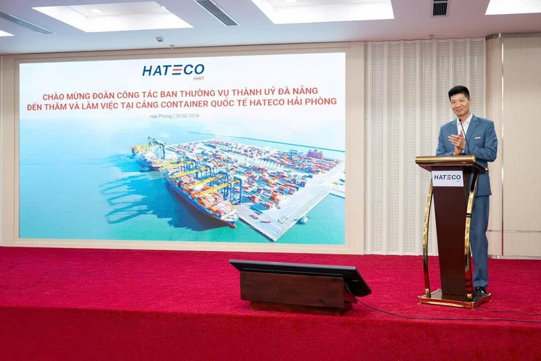Kiểm chứng năng lực đầu tư "siêu dự án" Cảng container Liên Chiểu, Đà Nẵng- Ảnh 4.