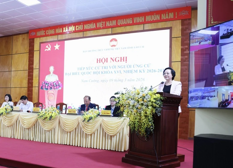 Phó Thủ tướng Phạm Thị Thanh Trà thông tin tới cử tri về lộ trình cải cách tiền lương, cắt giảm thủ tục hành chính- Ảnh 3.