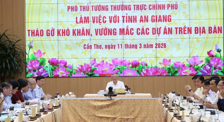 Tháo gỡ khó khăn, vướng mắc cho các dự án tồn đọng trên địa bàn tỉnh An Giang- Ảnh 2.