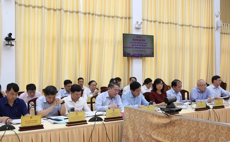 Tháo gỡ khó khăn, vướng mắc cho các dự án tồn đọng trên địa bàn tỉnh An Giang- Ảnh 4.