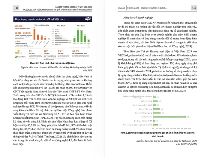 Một phần nội dung trong Báo cáo Thương mại Quốc tế Việt Nam 2025.