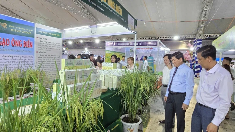 Cà Mau thúc đẩy liên kết, nâng tầm chuỗi giá trị lúa gạo- Ảnh 2.