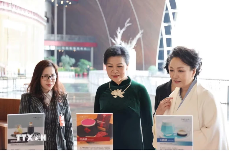 Phu nhân Ngô Phương Ly gặp gỡ, trao đổi với Phu nhân Tổng Bí thư, Chủ tịch nước Trung Quốc Tập Cận Bình - Giáo sư Bành Lệ Viên- Ảnh 4.