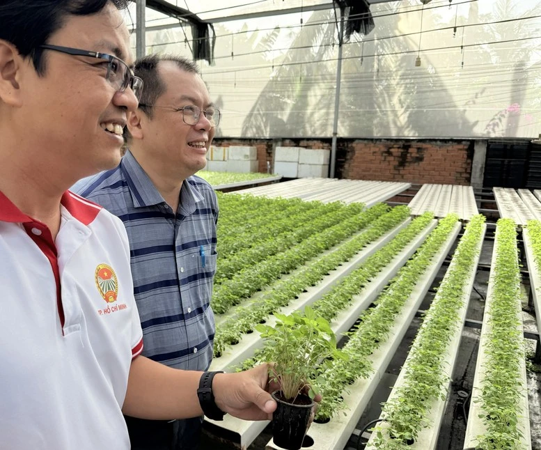 "Trụ đỡ" nông nghiệp trước áp lực giá: Cần chuyển mạnh từ sản lượng sang giá trị- Ảnh 1.