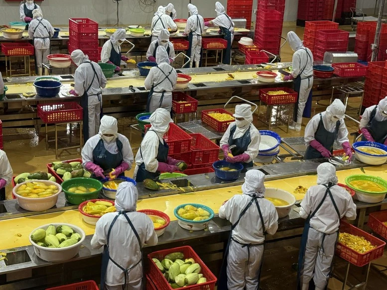 "Trụ đỡ" nông nghiệp trước áp lực giá: Cần chuyển mạnh từ sản lượng sang giá trị- Ảnh 2.