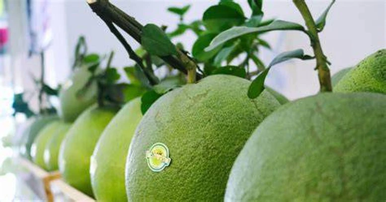 Đổi mới sáng tạo: Đưa xuất khẩu hoa quả Việt Nam vươn tầm thế giới- Ảnh 1.
