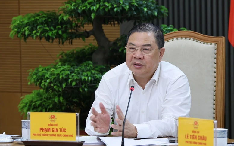 Khẩn trương hoàn thiện Nghị định triển khai cơ chế đặc thù về phát triển năng lượng giai đoạn 2026-2030- Ảnh 2.