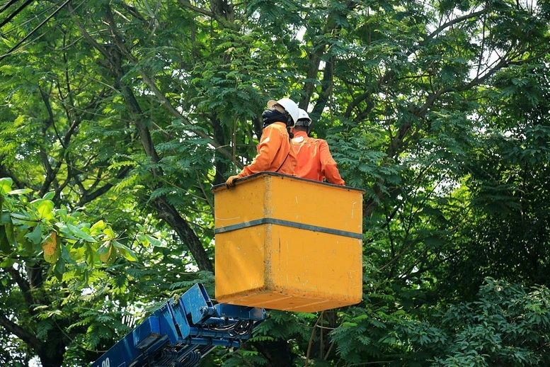 Miền Trung – Tây Nguyên lập đỉnh tiêu thụ điện, vượt mốc 100 triệu kWh/ngày- Ảnh 6. Miền Trung – Tây Nguyên lập đỉnh tiêu thụ điện, vượt mốc 100 triệu kWh/ngày- Ảnh 6.